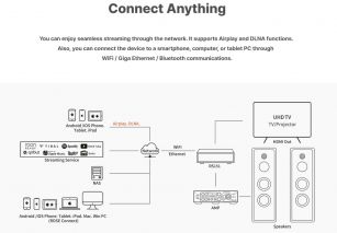 Rose RS151 Netzwerk-Streamer Gen.2